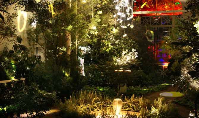 Picture of the project 'Glade'
