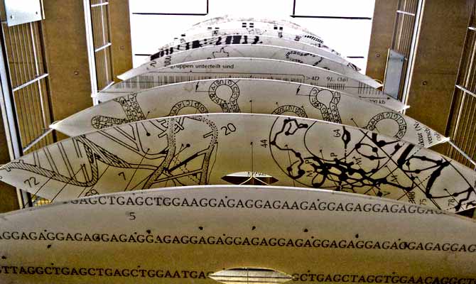 Picture of the project 'Cells'